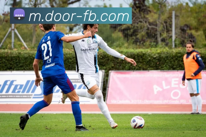 FB体育服务体系